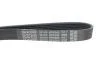 Ремінь генератора Toyota Corolla/Auris/Yaris 1.4 D 04-14 DAYCO 6PK966 (фото 4)