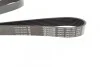 Ремінь генератора Renault Master/Opel Movano 2.5 dCi 03- (-AC) DAYCO 7PK1153 (фото 2)