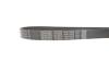 Поликлиновый ремень DAYCO 7PK1334S (фото 3)