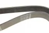 Ремінь генератора BMW 7 (E65) 4.0/4.5D 02-08/Honda Accord/Civic 2.0 01-08 DAYCO 7PK1759 (фото 5)