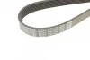 Ремінь генератора BMW 7 (E65) 4.0/4.5D 02-08/Honda Accord/Civic 2.0 01-08 DAYCO 7PK1759 (фото 6)