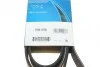 Ремінь генератора BMW 7 (E65) 4.0/4.5D 02-08/Honda Accord/Civic 2.0 01-08 DAYCO 7PK1759 (фото 7)