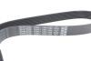 Ремінь генератора Renault Megane/Scenic 1.4 09-/Honda Accord/CR-V 2.2 i-CTDi 04- DAYCO 7PK1784 (фото 3)