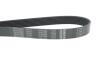Ремінь генератора VW Touareg 4.2 V8 02-06 DAYCO 7PK2365 (фото 4)
