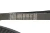 Ремінь генератора BMW 5 (G30/F90)/X3 (G01/F97) 16- B47 (8PK1162) DAYCO 8PK1162H (фото 4)