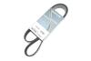 Ремінь генератора MB SLR (R199) 04- M155 (8PK1240) DAYCO 8PK1240HD (фото 2)