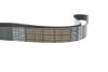 Ремінь генератора MB SLR (R199) 04- M155 (8PK1240) DAYCO 8PK1240HD (фото 4)