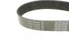 Ремінь генератора Mazda CX-7 2.2MZR-CD AWD 09-13 DAYCO 8PK1295 (фото 3)