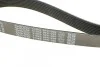 Ремінь генератора Mazda CX-7 2.2MZR-CD AWD 09-13 DAYCO 8PK1295 (фото 4)