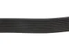Ремінь генератора BMW 5 (F10)/ X5 (F15/F85) 3.5i/4.0i 09- DAYCO 8PK1478 (фото 4)