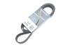 Пас 8pk1795 DAYCO 8PK1795HD (фото 2)