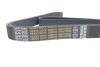 Пас 8pk1795 DAYCO 8PK1795HD (фото 4)