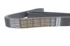 Пас 8pk1795 DAYCO 8PK1795HD (фото 4)