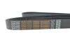 Пас 8pk2085 DAYCO 8PK2085HD (фото 4)