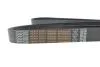 Пас 8pk2085 DAYCO 8PK2085HD (фото 4)