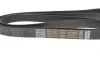 Ремінь генератора VW LT 28-35 2.5 SDI 96-06 (8PK2482) DAYCO 8PK2482HD (фото 2)