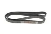 Ремінь генератора VW LT 28-35 2.5 SDI 96-06 (8PK2482) DAYCO 8PK2482HD (фото 4)