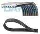 Поликлиновый ремень DAYCO 8PK2585 (фото 1)