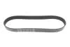 Ремінь генератора Land Rover Discovery 4.4 04-09/Range Rover 4.4 05-13 DAYCO 8PK848 (фото 1)