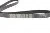 Комплект ременя генератора Fiat Punto 1.3D 03-12/Panda 04-/Ford KA 1.3TDCi 08-16 DAYCO KPV276 (фото 2)
