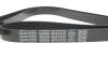 Комплект ременя генератора Citroen Jumpy/Fiat Ducato/Peugeot Boxer 2.2HDi 06- (6PK1670) DAYCO KPV338 (фото 4)