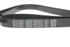 Комплект ременя генератора Citroen Jumpy/Fiat Ducato/Peugeot Boxer 2.2HDi 06- (6PK1670) DAYCO KPV338 (фото 4)