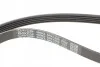 Комплект ременя генератора Peugeot Partner 1.4/1.6 96- DAYCO KPV634 (фото 4)