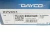 Комплект ременя генератора Fiat Doblo/Opel Combo 1.3/1.4D 07- DAYCO KPV691 (фото 18)