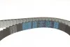 Комплект ГРМ VW Caddy/Sharan/Seat Ibiza 1.9TDI/SDI 95-06 DAYCO KTB294 (фото 3)