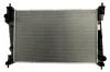Радиатор охлаждения двигателя DENSO DRM01006 (фото 1)