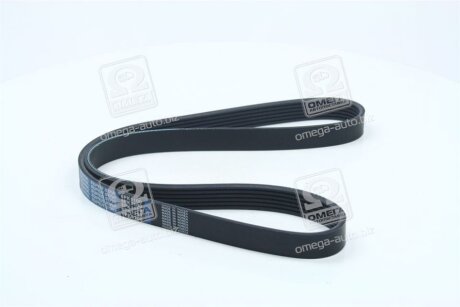 Поликлиновый ремень Dongil 6PK1100