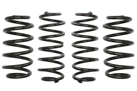 Комплект пружин (Pro-Kit) Audi A4 (B8) 1.8TFSI/2.0TDI/TFSI 07-15 (4 шт.) EIBACH E10-15-011-01-22
