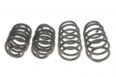 Комплект пружин (Pro-Kit) Opel Signum/Vectra C 03-09 (4 шт.) EIBACH E10-65-011-03-22