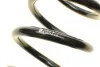 Пружина (передня) MB E-class (W211/S211) 02-09 (Classic/Elegance) EIBACH R10214 (фото 6)