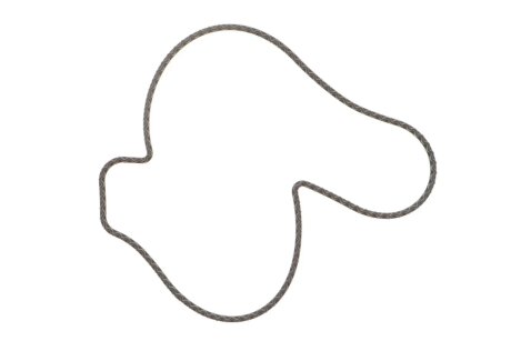 Прокладка насоса охлаждающей жидкости ELRING 107.170