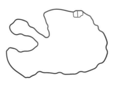 Прокладка кришки клапанів ELRING 156.352