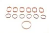 Прокладка колектора впускного BMW/Opel 2.5/3.0D M57 (к-кт) ELRING 228.690 (фото 6)