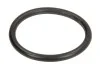 Прокладка фазорегулятора BMW 1E87/3 E46/5 E60/5 E61/X1/X3/X5 97-12 (34x41x3.52) ELRING 267.850 (фото 1)