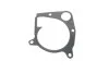 Прокладка помпи води BMW 3 (E90/92/93)/5 (E39/70) 2.0/2.5/3.0D 98-14 ELRING 362.281 (фото 1)