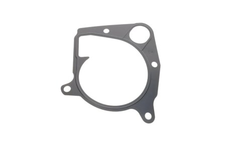 Прокладка помпи води BMW 3 (E90/92/93)/5 (E39/70) 2.0/2.5/3.0D 98-14 ELRING 362.281