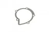 Прокладка помпи води Citroen Jumper/Jumpy/Peugeot Boxer/Expert 2.0/2.2 HDi 02- ELRING 394.280 (фото 4)