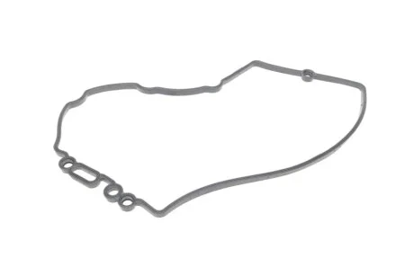 Прокладка, кришка головки цилиндра ELRING 456220