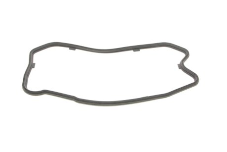 Прокладка піддону Iveco Daily/Fiat Ducato 2.3D 06- ELRING 505.450