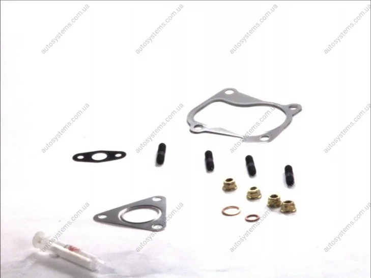 Комплект уплотнителей турбины VW Caddy II 1.9 TDI ELRING 704010 (фото 1)