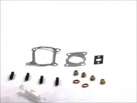 Комплект прокладок турбіни Fiat Ducato 2.0JTD 01- ELRING 714.620