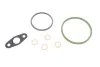 Комплект прокладок турбіни BMW 3 (E90/F30/F80)/5 (F10) 04-15 B47/M47/N47 (до 07.2013) ELRING 736.520 (фото 1)