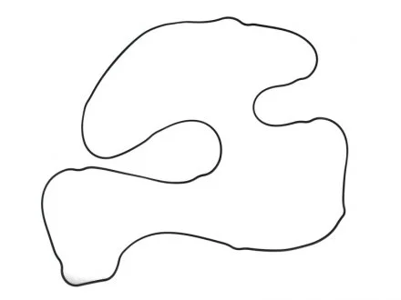 Прокладання впускного колектора ELRING 746.360