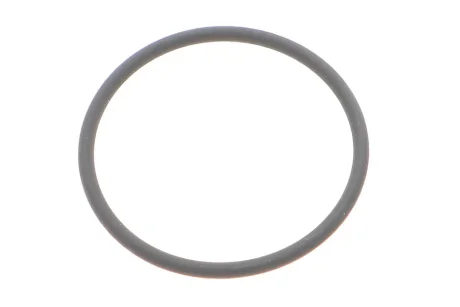 Прокладка насосу паливного Audi/VW/Ford/MB/Opel/Renault (31x2mm) ELRING 789.970