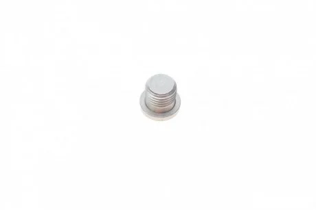 Болт зливу оливи VW T5 2.0 TSI 11-19 (M14x1.50x15) ELRING 858.040