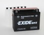 Аккумулятор 12В 21Ач 350А(EN) R+ EXIDE YTX24HL-BS (фото 1)